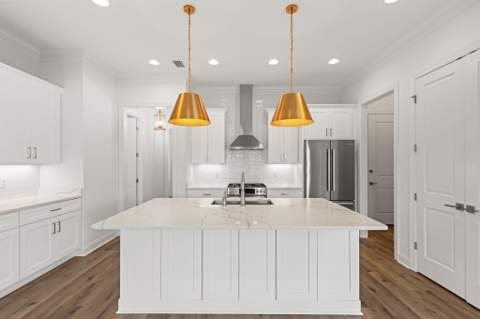 202 Suwannee Drive, Inlet Beach FL - photo 9 of 51
