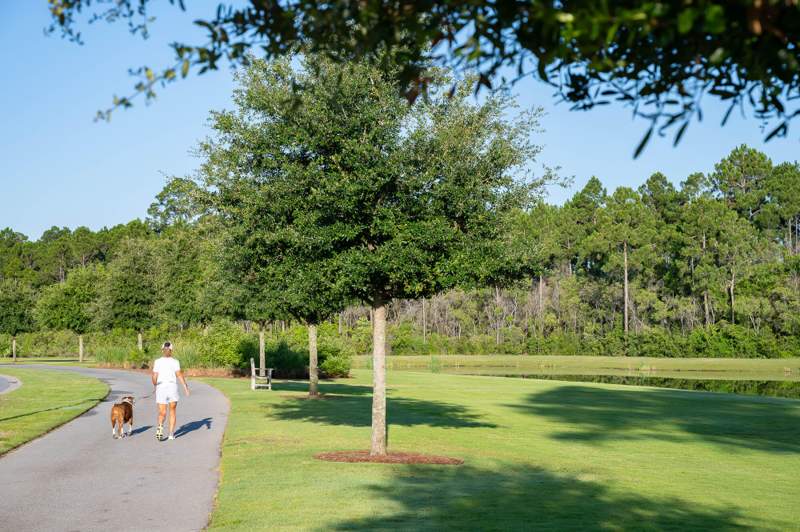 3 bedroom Detached Single Family at 1084 Suwannee Drive #Lot 50, WATERSOUND ORIGINS, Watersound — photo 4
