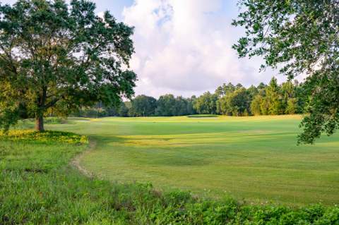 1084 Suwannee Drive #Lot 50, Watersound FL - photo 8 of 22