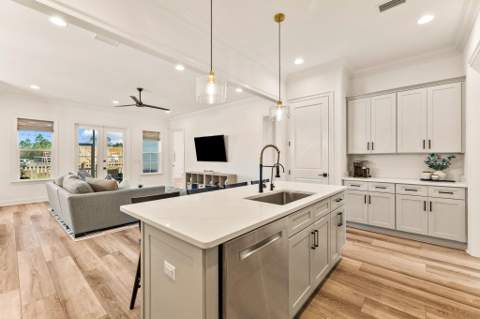 120 Suwannee Drive, Inlet Beach FL - photo 19 of 59