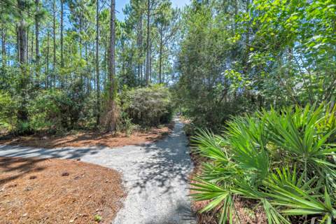 654 Breakers Street, Inlet Beach FL - photo 8 of 96