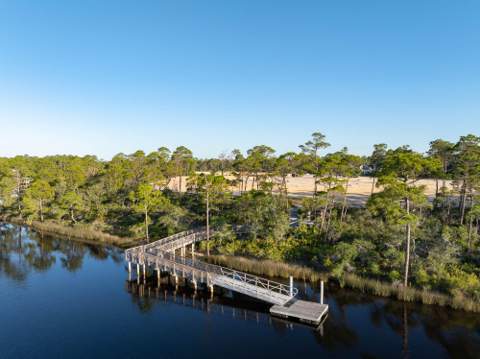Tbd Suwannee Drive #Lot 16, Watersound FL - photo 24 of 24