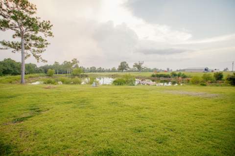 8416 Ludlam Road, Laurel Hill FL - photo 11 of 50