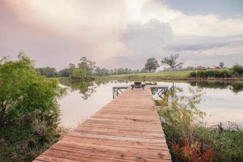 8416 Ludlam Road, Laurel Hill FL - photo 14 of 50