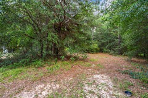 6139 Old Hickory Road, Crestview FL - photo 24 of 24