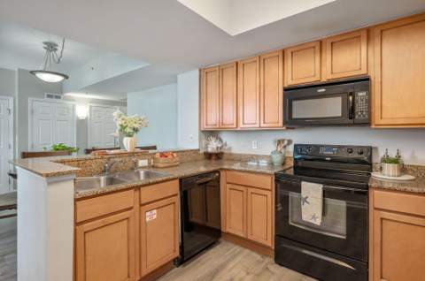 4207 Indian Bayou Trail #2515, Destin FL - photo 20 of 61