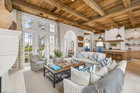91 Plumbago Lane, Alys Beach FL - photo 11 of 80