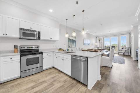 10343 E County Hwy 30A #316, Alys Beach FL - photo 7 of 51