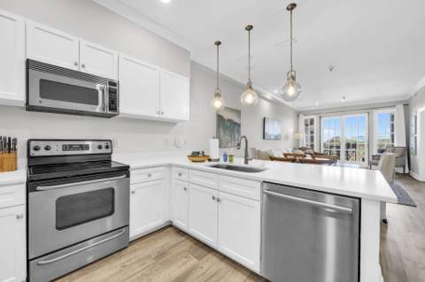10343 E County Hwy 30A #316, Alys Beach FL - photo 8 of 51