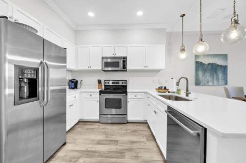 10343 E County Hwy 30A #316, Alys Beach FL - photo 9 of 51