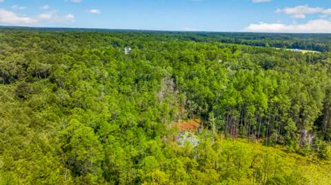 1694 Co Hwy 280A, DeFuniak Springs FL - photo 17 of 22