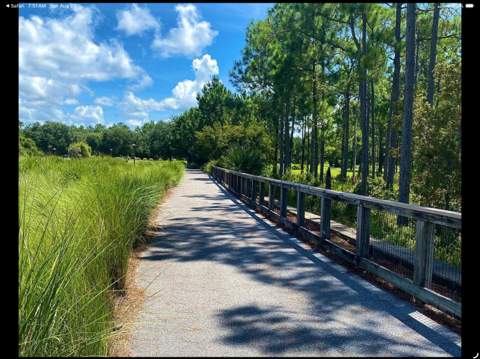 91 Bunting Lane, Inlet Beach FL - photo 21 of 21