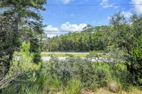 91 Milestone Drive #Unit A, Inlet Beach FL - photo 18 of 61