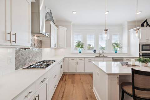 11 E Crabbing Hole Lane, Inlet Beach FL - photo 14 of 59