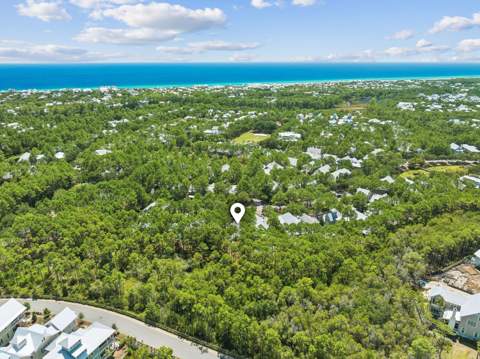 36 Thicket Circle, Santa Rosa Beach FL - photo 10 of 48