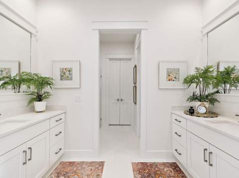 39 W Firethorn Circle, Watersound FL - photo 22 of 38