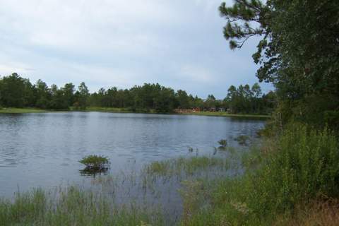 141 Silk Oak Drive, DeFuniak Springs FL - photo 12 of 28