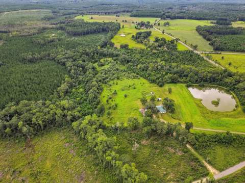 144 Icie Pine Rd Road, Westville FL - photo 9 of 31