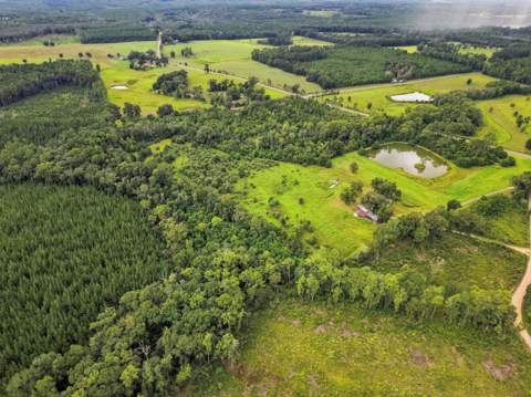 144 Icie Pine Rd Road, Westville FL - photo 10 of 31