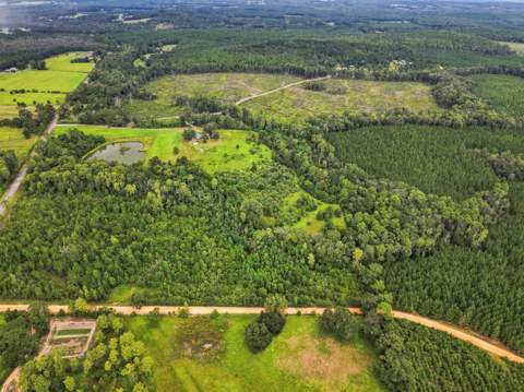 144 Icie Pine Rd Road, Westville FL - photo 11 of 31
