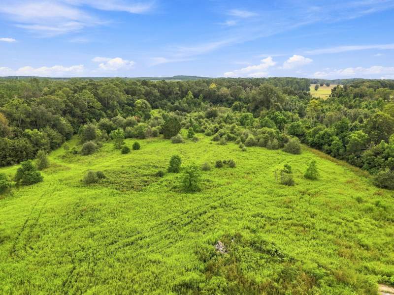 4 bedroom Detached Single Family at 144 Icie Pine Rd Road, Westville, Westville — photo 5