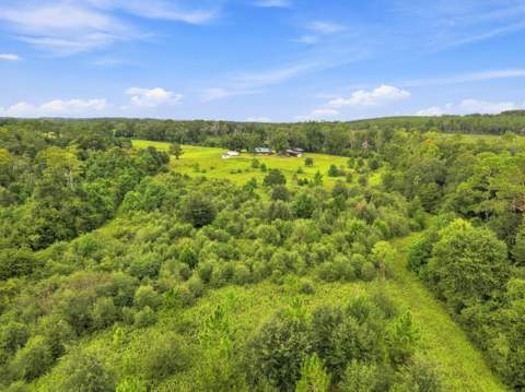 144 Icie Pine Rd Road, Westville FL - photo 7 of 31