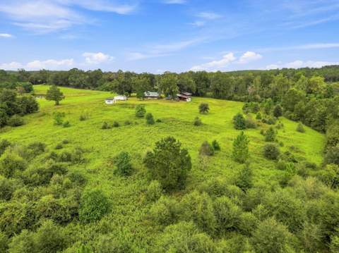 144 Icie Pine Rd Road, Westville FL - photo 8 of 31