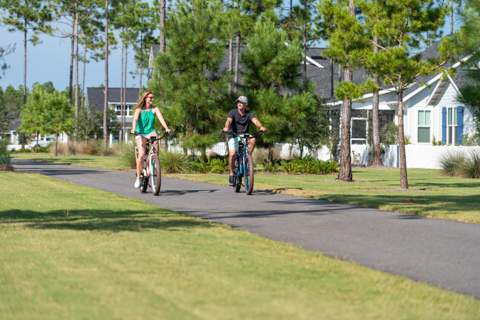 TBD Porter Way #Lot 60, Watersound FL - photo 11 of 21