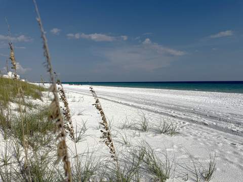 30 Moreno Point Road #306B, Destin FL - photo 15 of 54