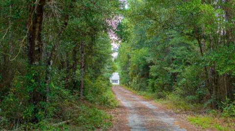 635 Southside Drive, Holt FL - photo 8 of 42