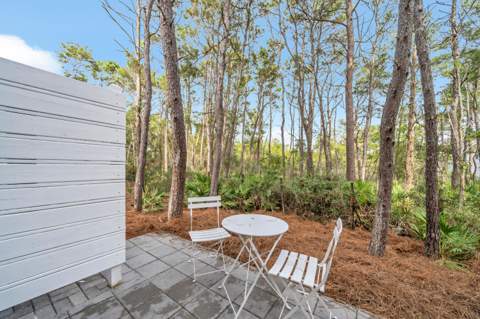 178 Valdare Lane, Inlet Beach FL - photo 21 of 83