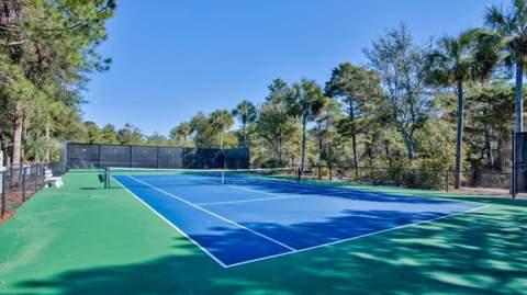 145 Spires Lane #307, Santa Rosa Beach FL - photo 20 of 22