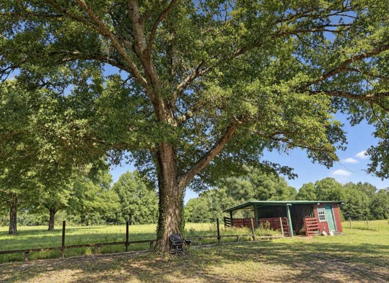 1 bedroom Farm at 8056 Yellow River Baptist Church, Baker, Baker — photo 2