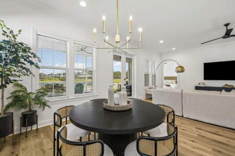 46 Green Heron Street, Inlet Beach FL - photo 14 of 45