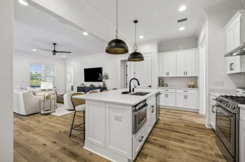 46 Green Heron Street, Inlet Beach FL - photo 8 of 45