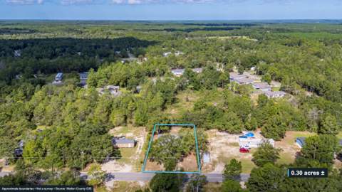 447 Smith Road, DeFuniak Springs FL - photo 10 of 39