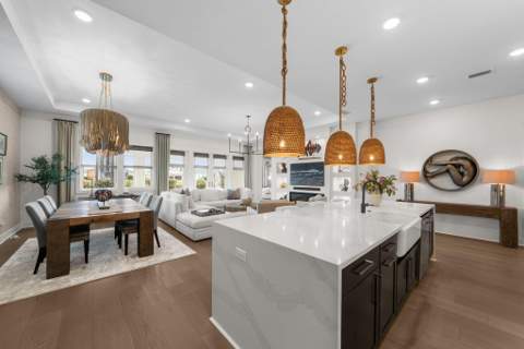 120 Anastasia Circle, Inlet Beach FL - photo 15 of 92
