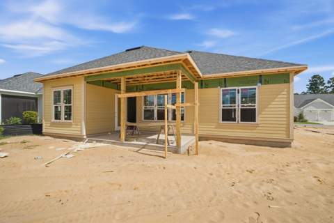 131 Green Heron Street #Lot 65, Watersound FL - photo 7 of 44