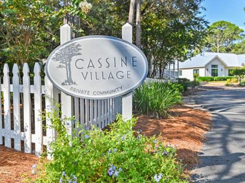 297 Cassine Garden Circle, Santa Rosa Beach FL - photo 15 of 85