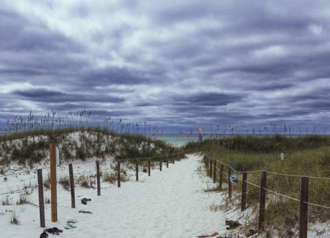 313 Morgans Trail, Santa Rosa Beach FL - photo 15 of 87