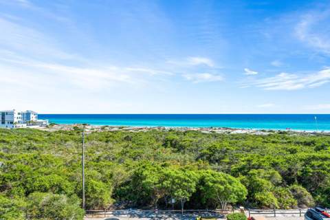 244 W Park Place Avenue, Inlet Beach FL - photo 16 of 60