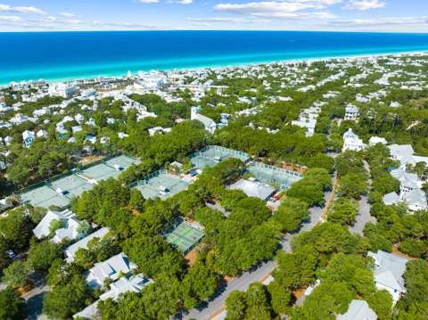367 E Royal Fern Way, Santa Rosa Beach FL - photo 12 of 49