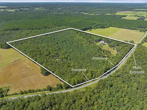 5968 W Co Hwy 147, Laurel Hill FL - photo 8 of 103
