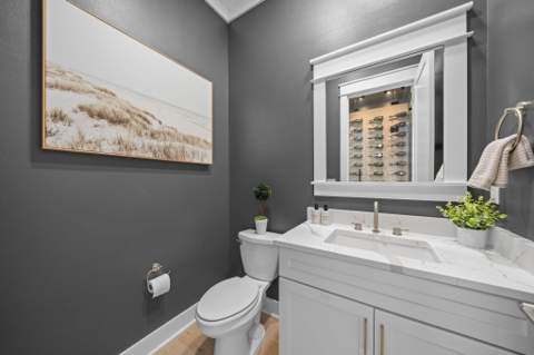 95 E Pollard Cove, Inlet Beach FL - photo 23 of 66