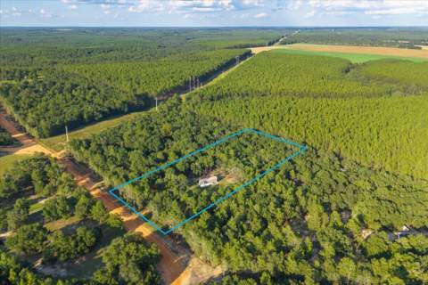 248 Redd Lane, DeFuniak Springs FL - photo 6 of 24