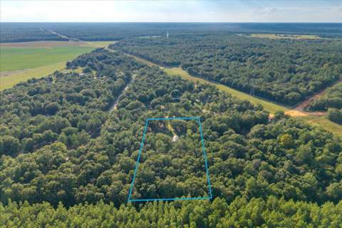 248 Redd Lane, DeFuniak Springs FL - photo 9 of 24
