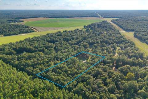 248 Redd Lane, DeFuniak Springs FL - photo 10 of 24