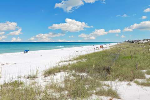 297 Gulf Shore Drive, Santa Rosa Beach FL - photo 13 of 95