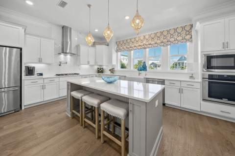 17 Siasconset Lane, Inlet Beach FL - photo 11 of 70