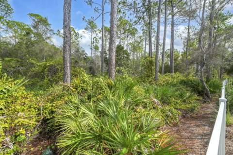 70 Prairie Pass, Santa Rosa Beach FL - photo 21 of 105